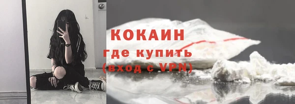 сатива Армянск