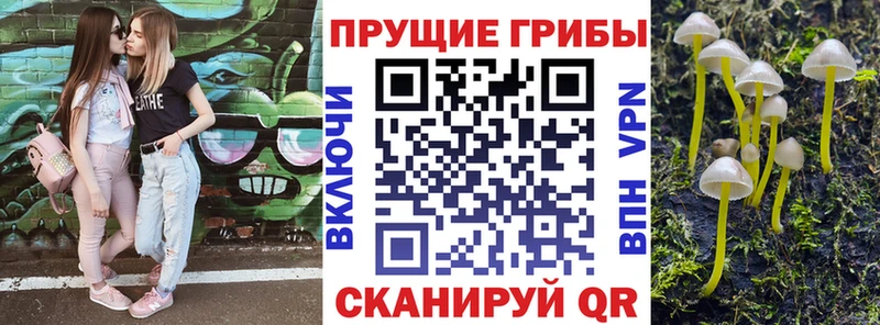 Галлюциногенные грибы мухоморы  MEGA tor  Брюховецкая  наркотики 